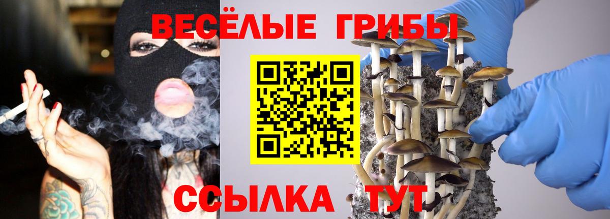 Галлюциногенные грибы мицелий Алапаевск